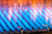 Portash gas fired boilers